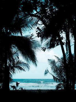 实现财务自由后,我老公却要跟我离婚