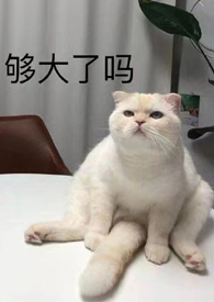 病娇A诱她上瘾（双A主攻1v1百合ABO）