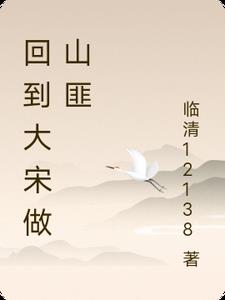 回到大宋做山匪