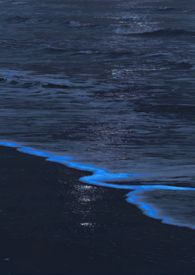 不语花【SM折磨】