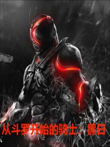 从斗罗开始的骑士：黑日