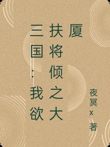 三国：我欲扶将倾之大厦