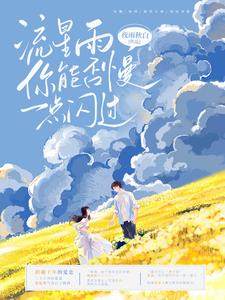 流星雨，你能否慢一点闪过