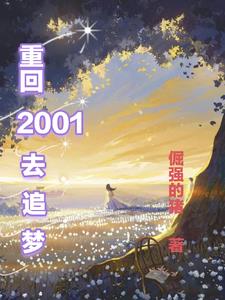 重返2001去追梦