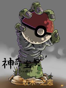 神奇宝贝，坂木之志