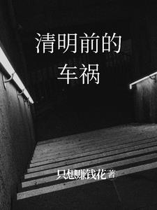 清明前的车祸