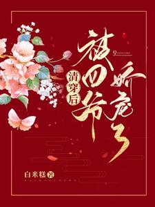 清穿后，被四爷娇宠了
