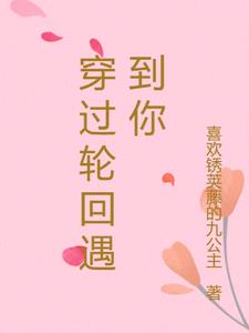 穿过轮回遇到你