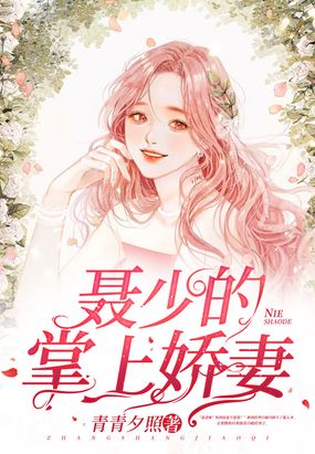 聂少的掌上娇妻