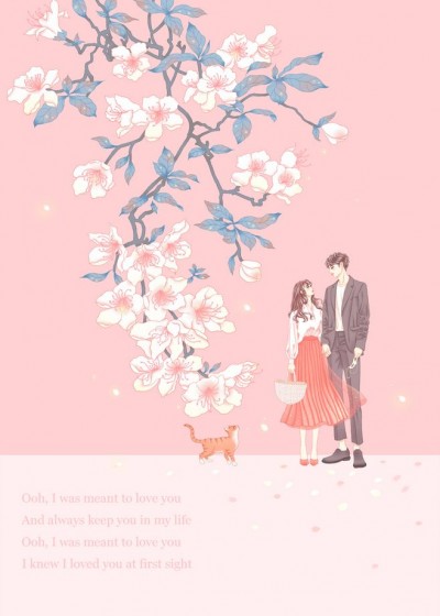 傻妻每天都露馅时雨珂盛翰鈺