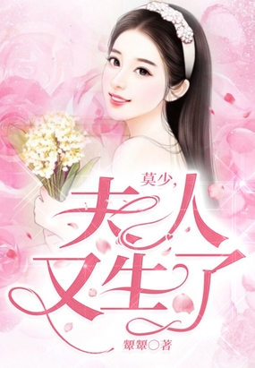 莫少,夫人又生了