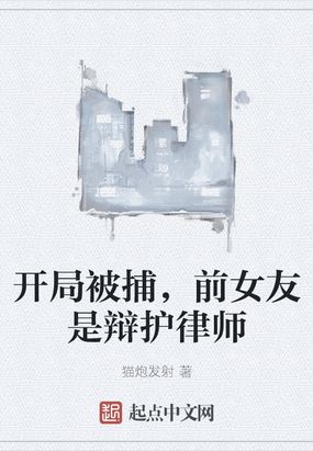 开局被捕,前女友是辩护律师