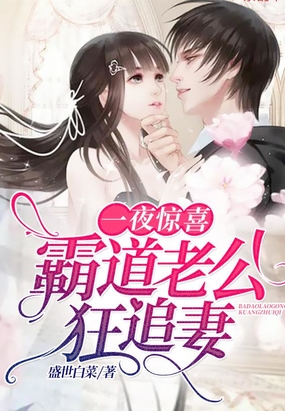 一夜惊喜：霸道老公狂追妻