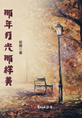 那年月光那样美