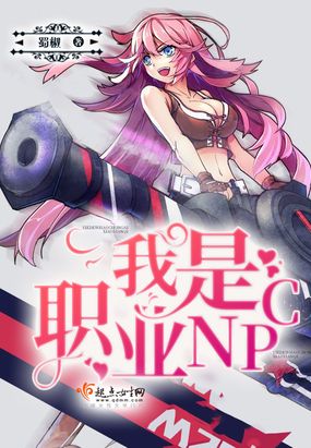 我是职业NPC