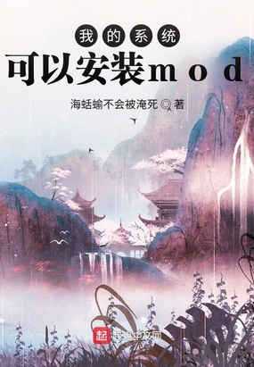 我的系统可以安装mod