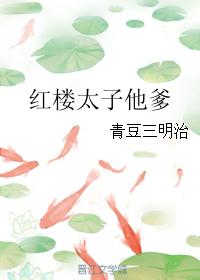红楼太子他爹
