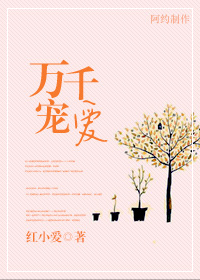 万千宠爱